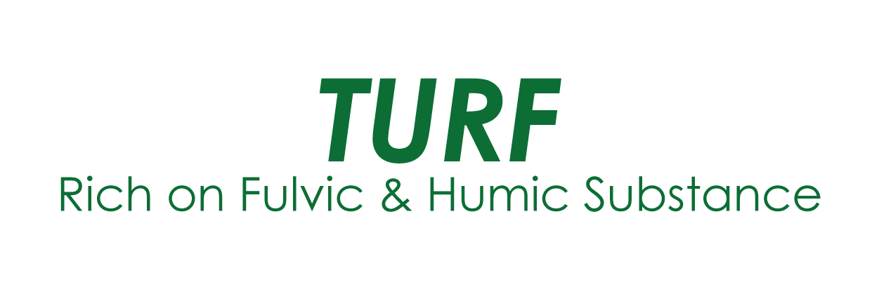 Natural Green Turf